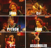 Java C# Python Java C++ Assembler