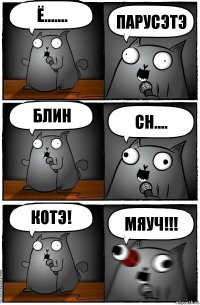 Ё....... Парусэтэ Блин Сн.... Котэ! Мяуч!!!