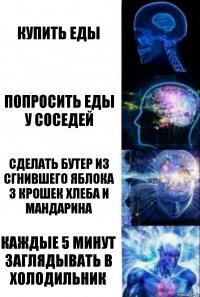 купить еды попросить еды у соседей сделать бутер из сгнившего яблока 3 крошек хлеба и мандарина каждые 5 минут заглядывать в холодильник