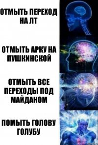 Отмыть переход на ЛТ Отмыть арку на Пушкинской Отмыть все переходы под Майданом Помыть голову Голубу