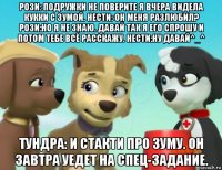 рози: подружки не поверите я вчера видела кукки с зумой. нести: он меня разлюбил? рози:но я не знаю. давай так я его спрошу и потом тебе всё расскажу. нести:ну давай^_^ тундра: и стакти про зуму. он завтра уедет на спец-задание.