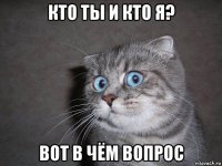 кто ты и кто я? вот в чём вопрос