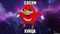 сосни хуйца