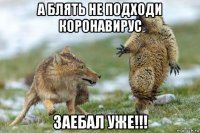 а блять не подходи коронавирус заебал уже!!!