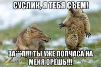 суслик, я тебя съем! за***л!!! ты уже полчаса на меня орёшь!!!