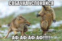 собачка успокойся аф-аф-аф-аф!!!!!