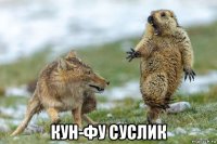  кун-фу суслик