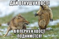 дай откушу хвост! а я пёрну и хвост поднимется!