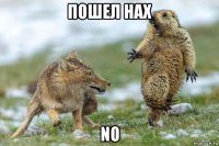 пошел нах no