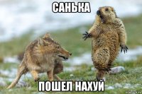 санька пошел нахуй