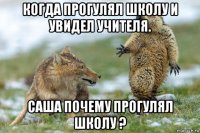 когда прогулял школу и увидел учителя. саша почему прогулял школу ?