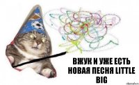 Вжук и уже есть новая песня little big