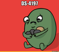 ds-4197 