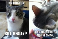 Там есть еда Кот: Really? Кот:бл... Ты соврал... Кот: у тебя некогда еды не было..