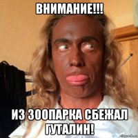 внимание!!! из зоопарка сбежал гуталин!