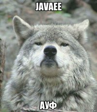 javaee ауф