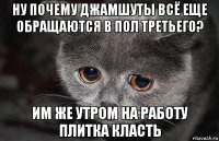 ну почему джамшуты всё еще обращаются в пол третьего? им же утром на работу плитка класть