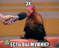 эх... есть вы мужик?