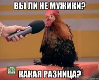 вы ли не мужики? какая разница?