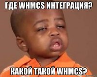 где whmcs интеграция? какой такой whmcs?