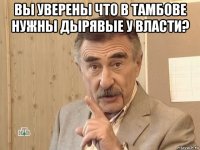 вы уверены что в тамбове нужны дырявые у власти? 