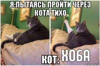 я:пытаясь пройти через кота тихо кот: