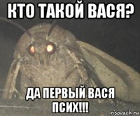 кто такой вася? да первый вася псих!!!