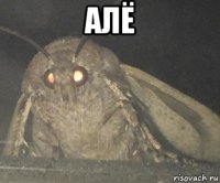 алё 