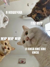 я кошечка гламур мур мур мур я киса кис кис киса