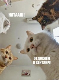 Натааш!   Отдохнем
в сентябре