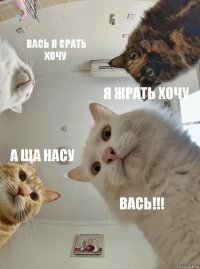 Вась я срать хочу Я жрать хочу А ща насу Вась!!!