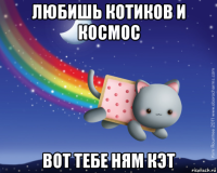 любишь котиков и космос вот тебе ням кэт