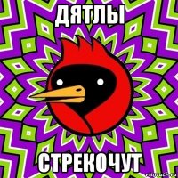 дятлы стрекочут