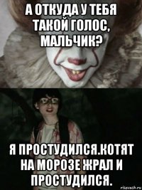 а откуда у тебя такой голос, мальчик? я простудился.котят на морозе жрал и простудился.