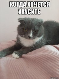 когда хочется укусить 