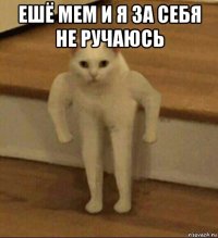 ешё мем и я за себя не ручаюсь 