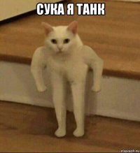 сука я танк 