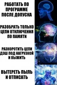 работать по программе после допуска разобрать только цепи отключения по памяти разкоротить цепи дзш под нагрузкой и выжить вытереть пыль и отписать