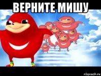 верните мишу 