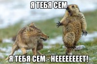 я тебя сем я тебя сем - неееееееет!