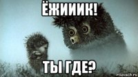 ёжииик! ты где?