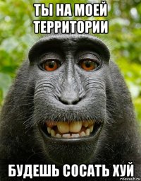 ты на моей территории будешь сосать хуй