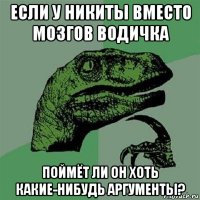 если у никиты вместо мозгов водичка поймёт ли он хоть какие-нибудь аргументы?