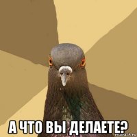  а что вы делаете?