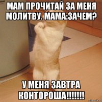 мам прочитай за меня молитву. мама:зачем? у меня завтра контороша!!!!!!!