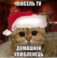 піксель tv домашній улюбленець