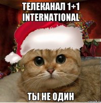 телеканал 1+1 international ты не один