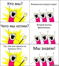 Кто мы? Феминистки второго мира! Чего мы хотим? Второй волны феминизма. Так, она уже прошла на Запале в 70-х! Мы знаем!