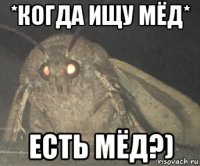 *когда ищу мёд* есть мёд?)