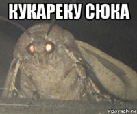 кукареку сюка 